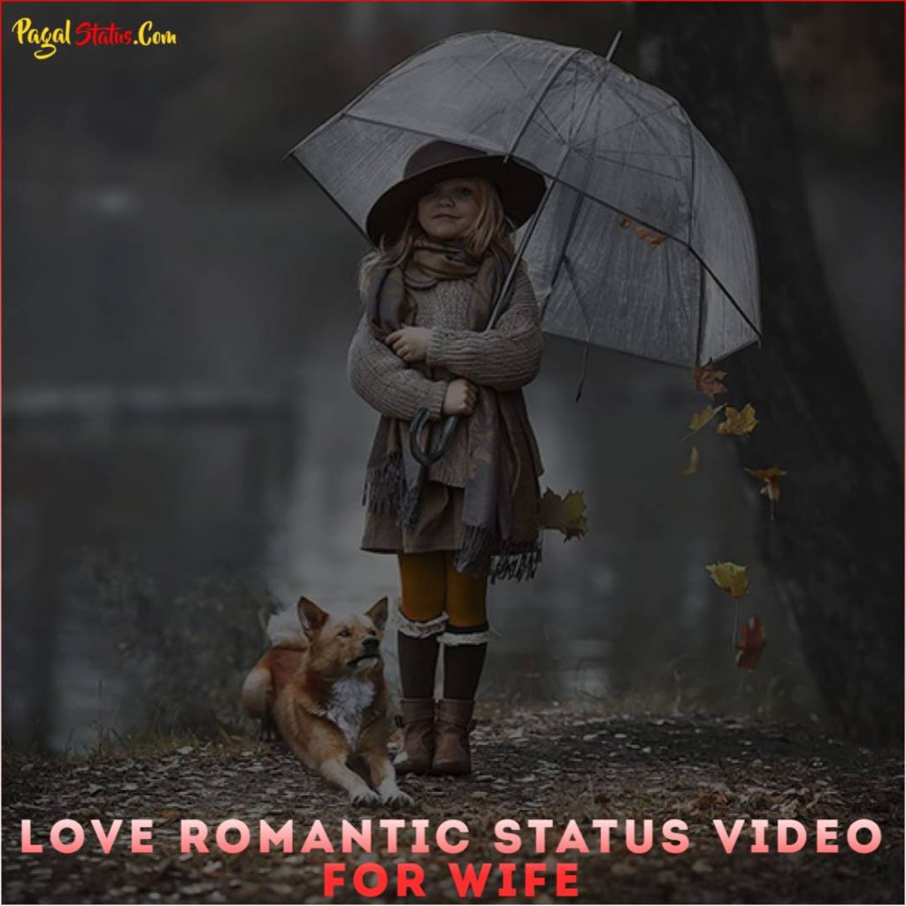 Love Romantic Status Video For Wife