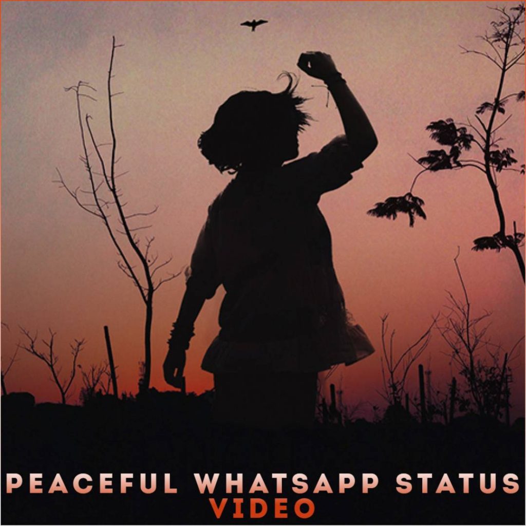 Peaceful Whatsapp Status Video
