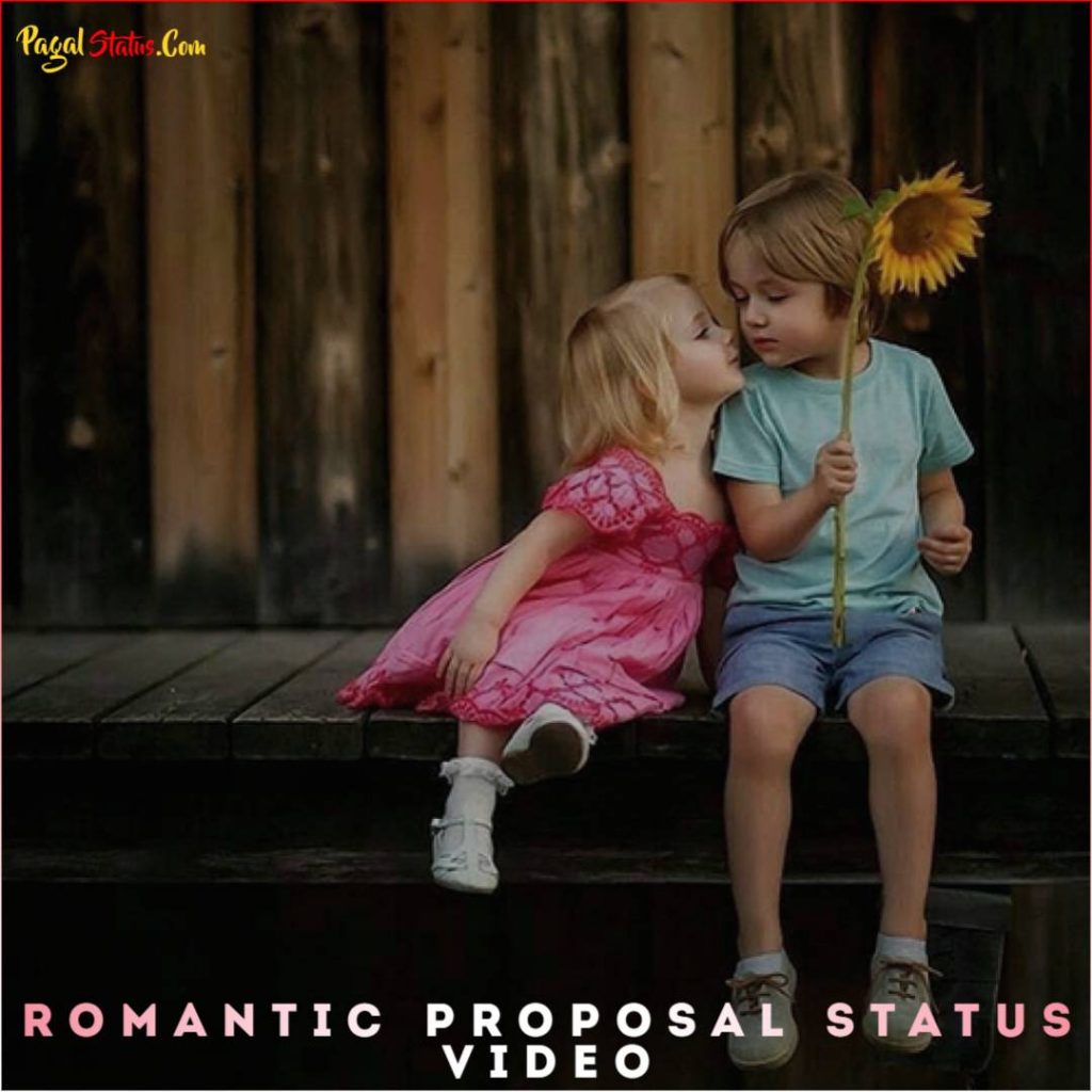 Romantic Proposal Status Video