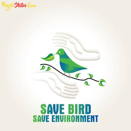 Save Birds Whatsapp Status Video