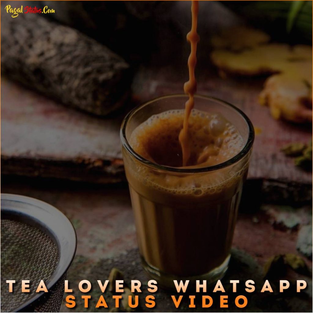Tea Lovers Whatsapp Status Video