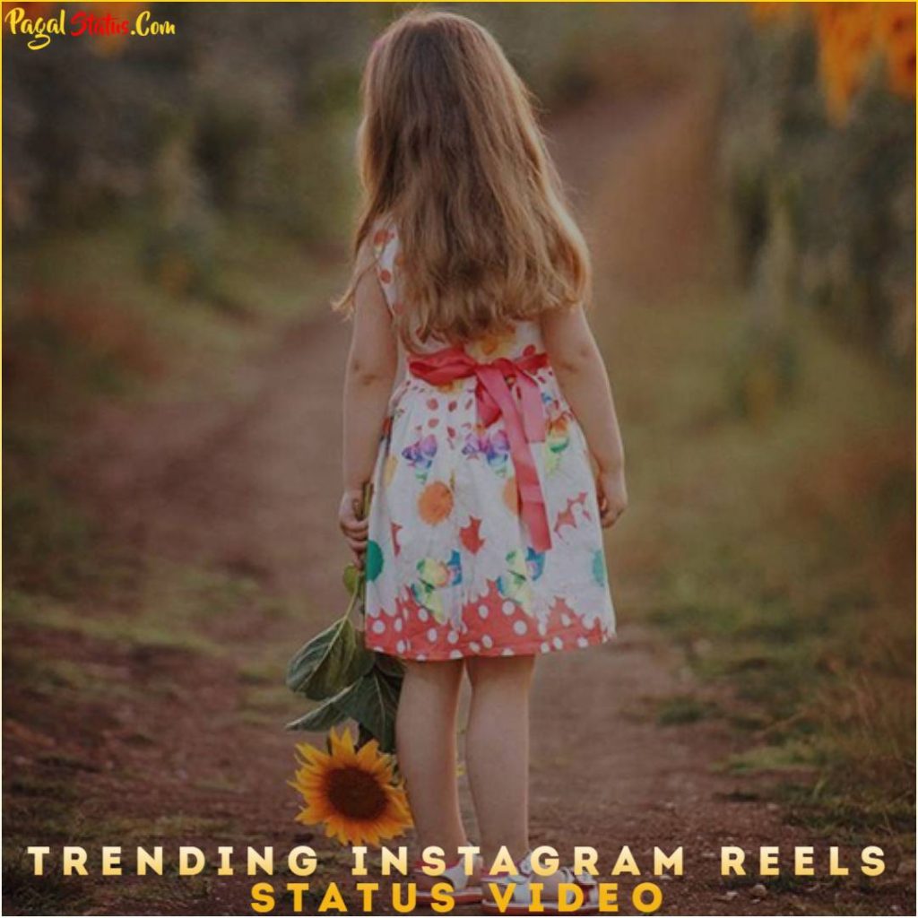 Trending Instagram Reels Status Video