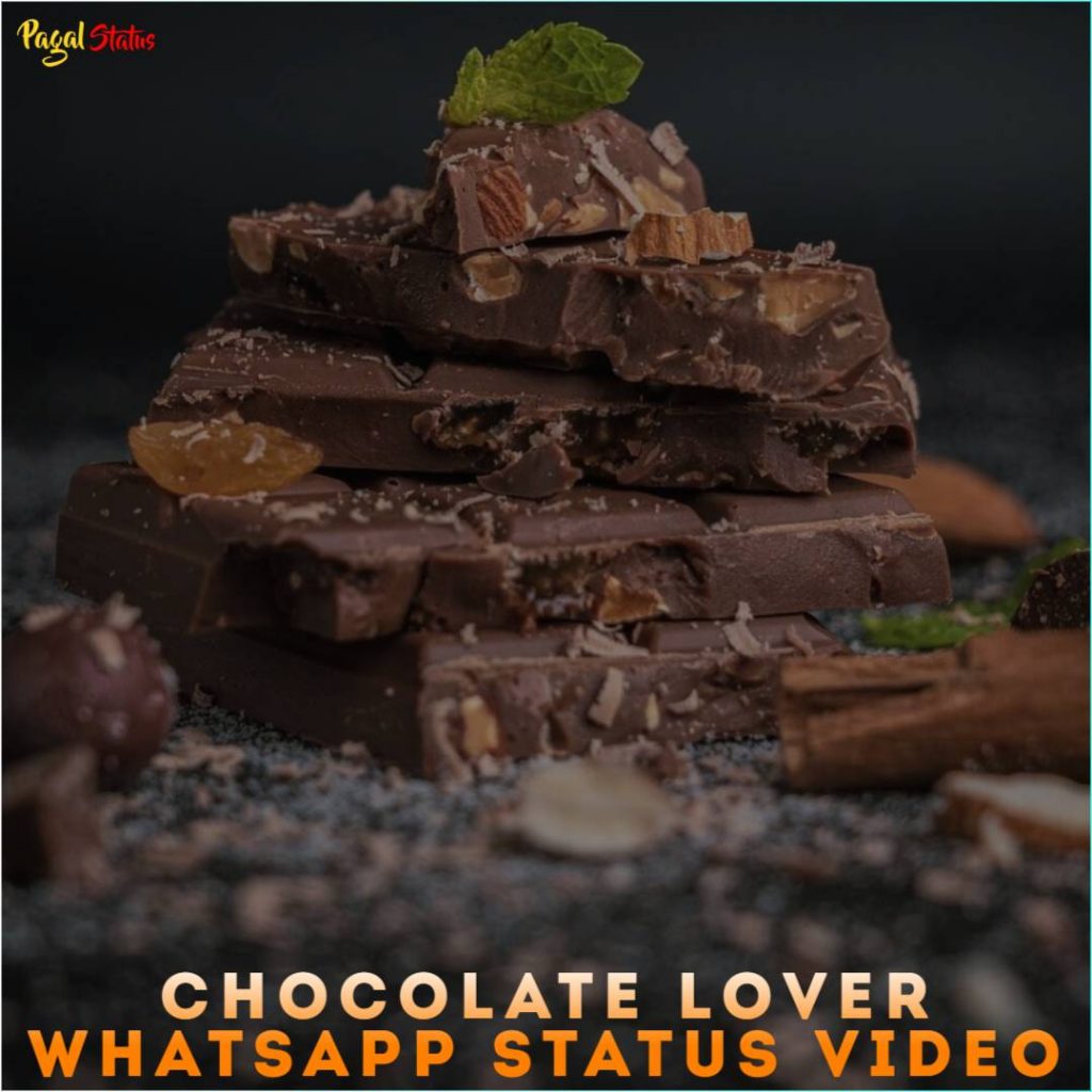 Chocolate Lover Whatsapp Status Video
