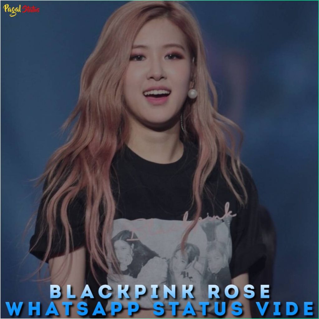 Blackpink Rose Whatsapp Status Video