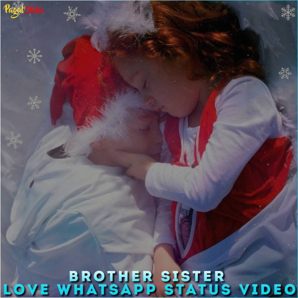 Brother Sister Love Whatsapp Status Video