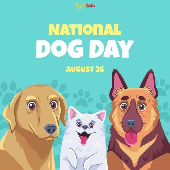 National Dog Day Whatsapp Status Video