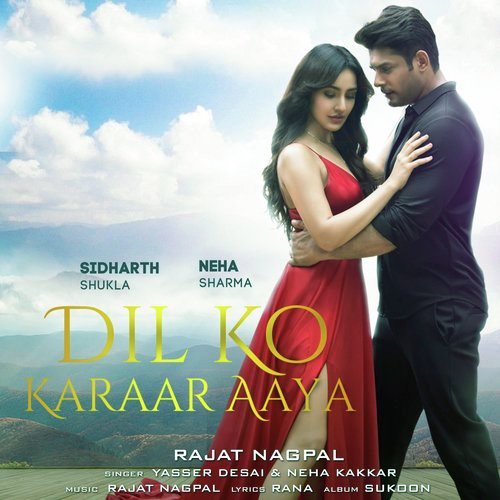 Dil Ko Karaar Aaya Song Status Video