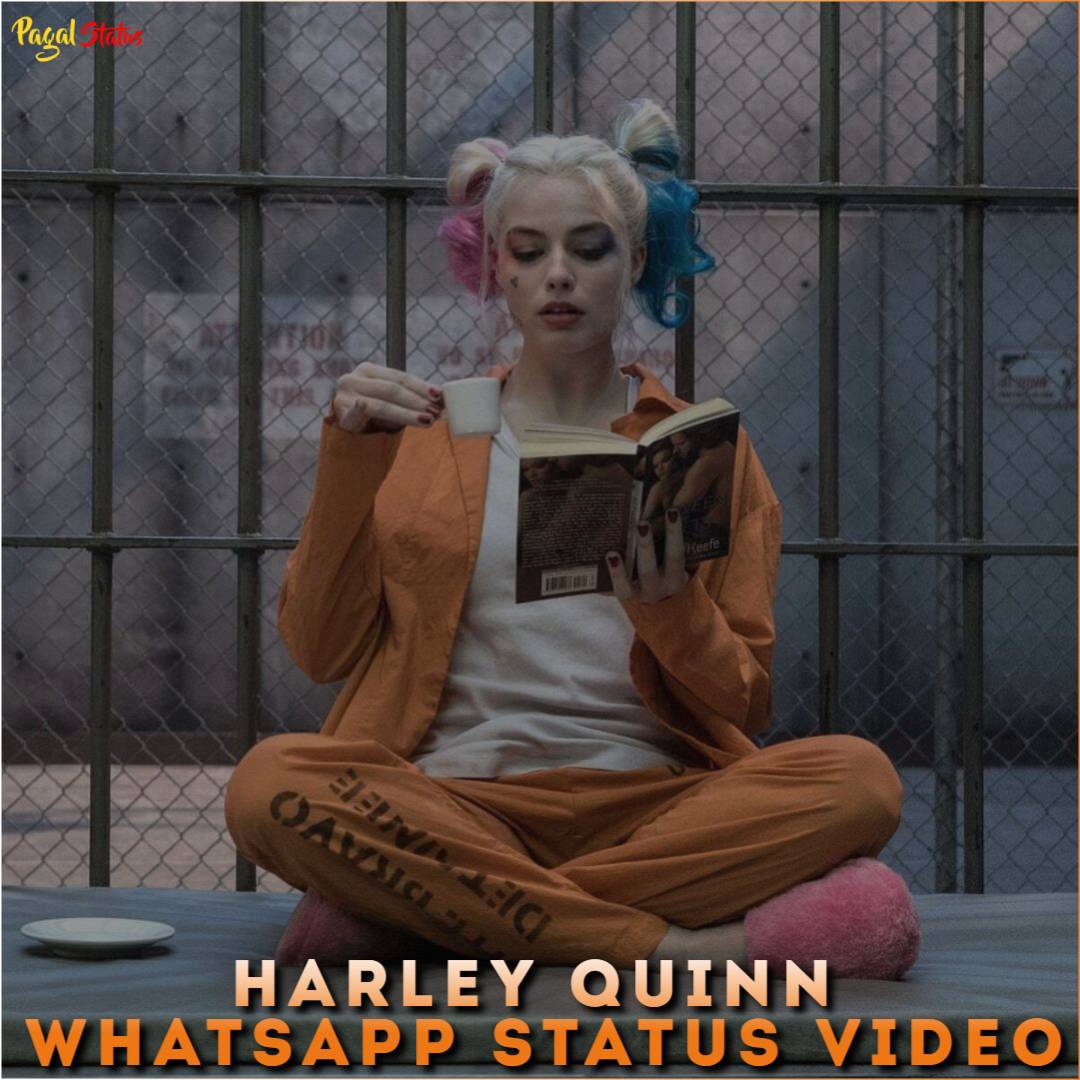 Harley Quinn Whatsapp Status Video