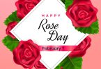 Happy Rose Day Whatsapp Status Video