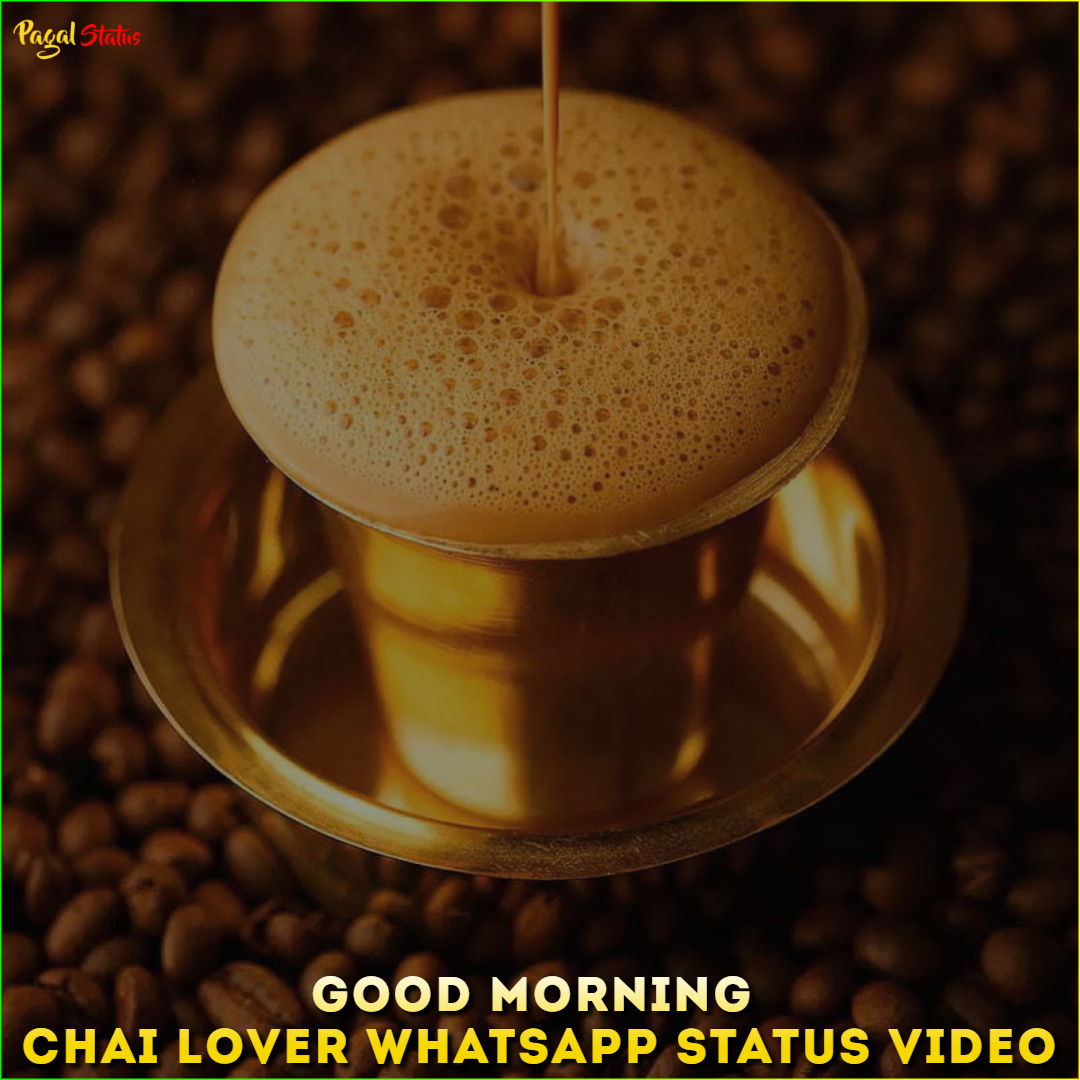 Good Morning Chai Lover Whatsapp Status Video