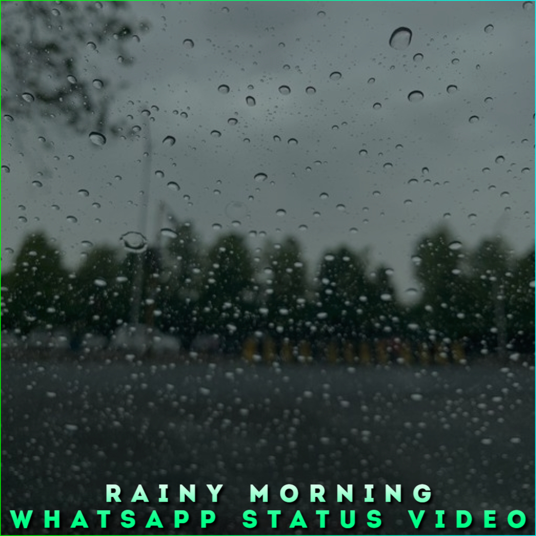 Rainy Morning Whatsapp Status Video